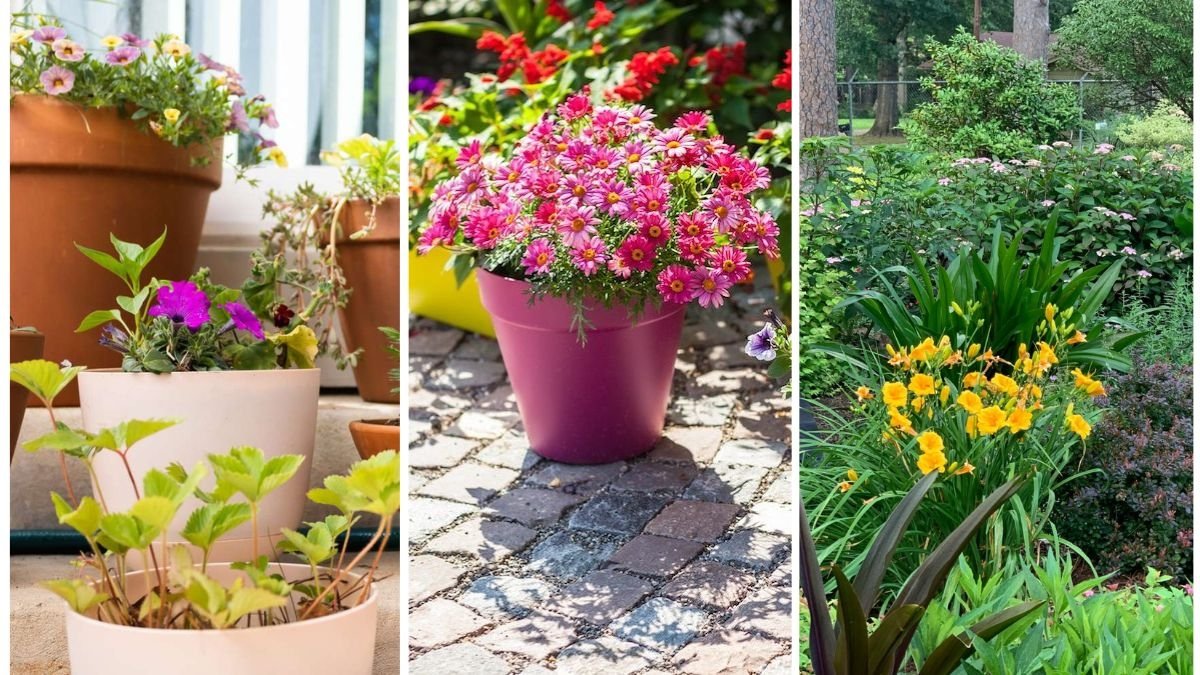 Unique Planter Ideas to Transform Your Garden