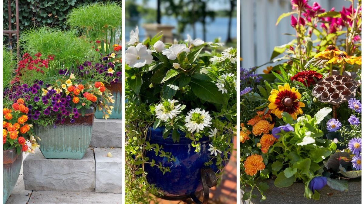 Tips for Arranging Beautiful Container Displays