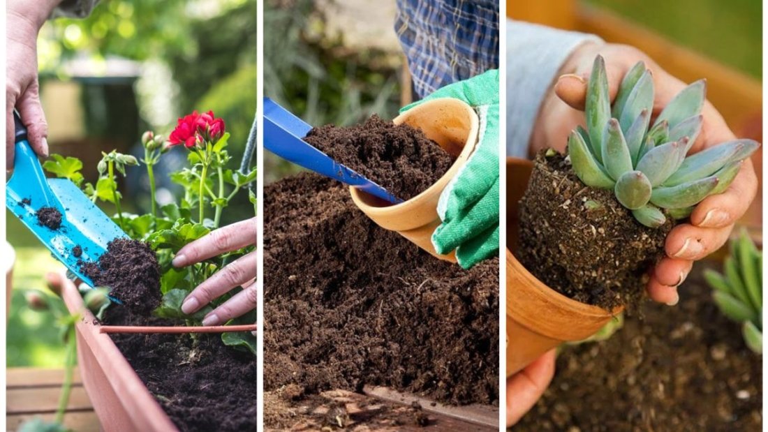 Best Soil Mixes for Container Gardening Success