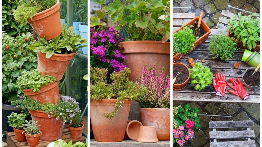 How to Choose the Right Containers for Plants