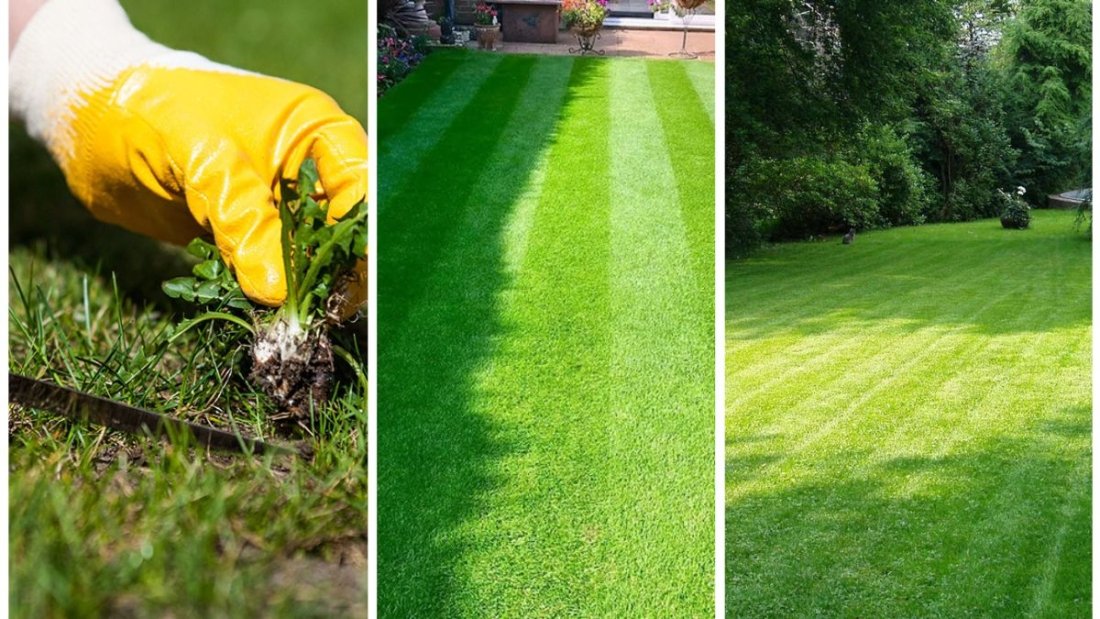 When To Reseed Your Lawn For The Greenest Yard
