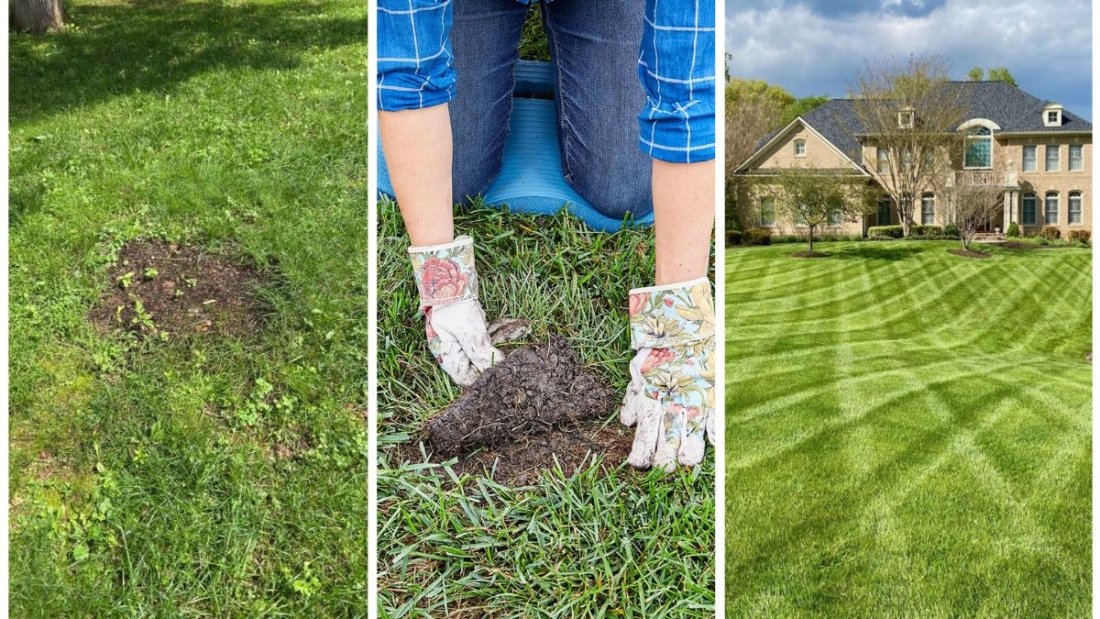 The Best Way To Overseed Bare Lawn Spots This Fall