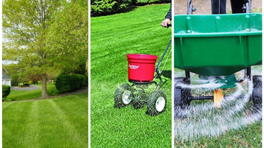 Should You Fertilize Your Lawn In Late Summer?