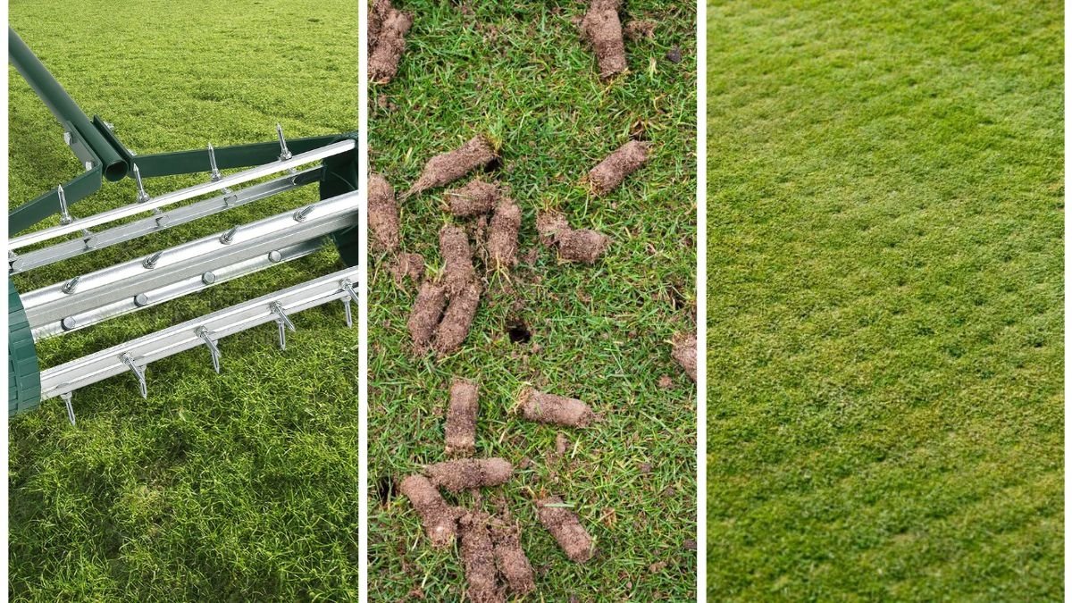How Often To Aerate Your Lawn For Healthy Roots
