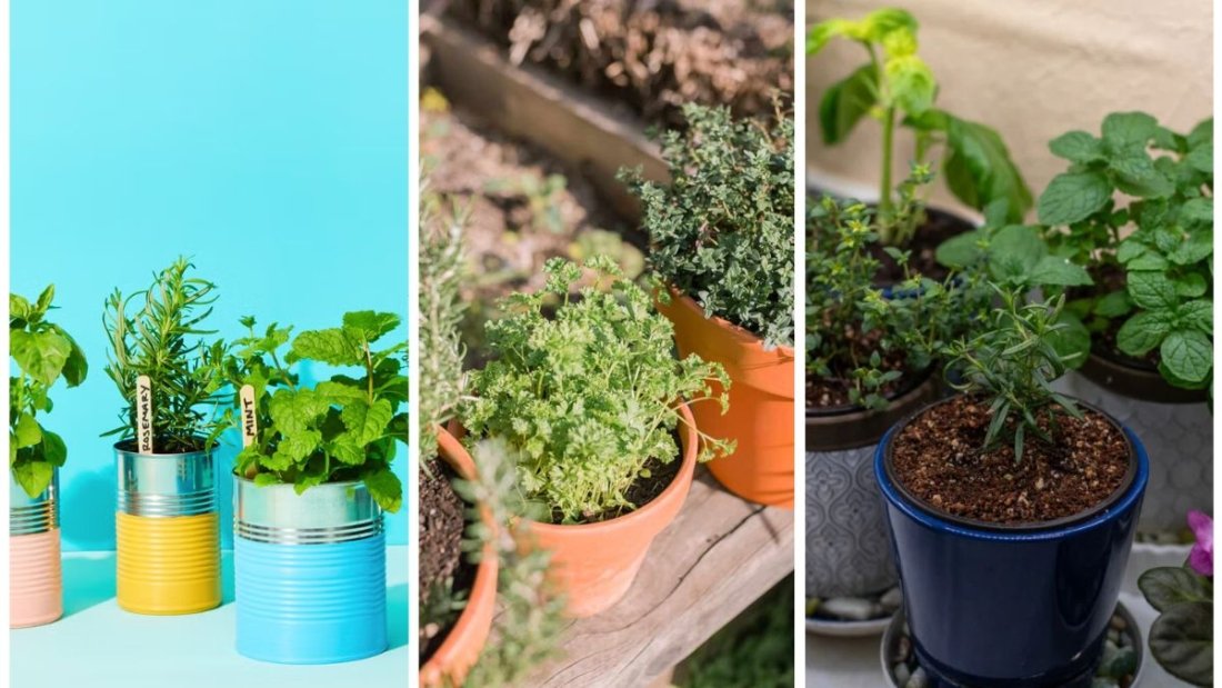 How To Keep Potted Herbs Thriving All Season