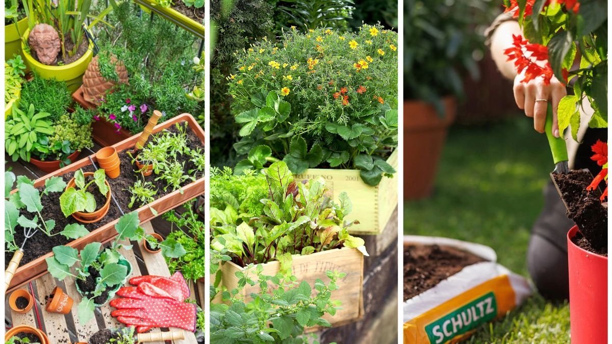 The Best Soil Mix for Container Veggies