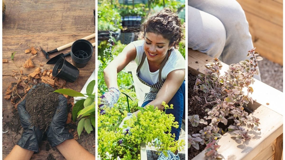 5 Ways to Improve Poor Garden Soil