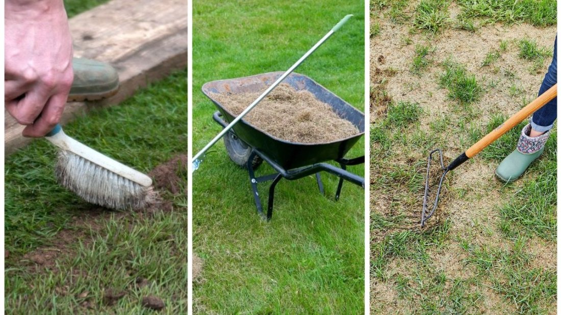 How To Repair Lawn Damage After a Hot Summer
