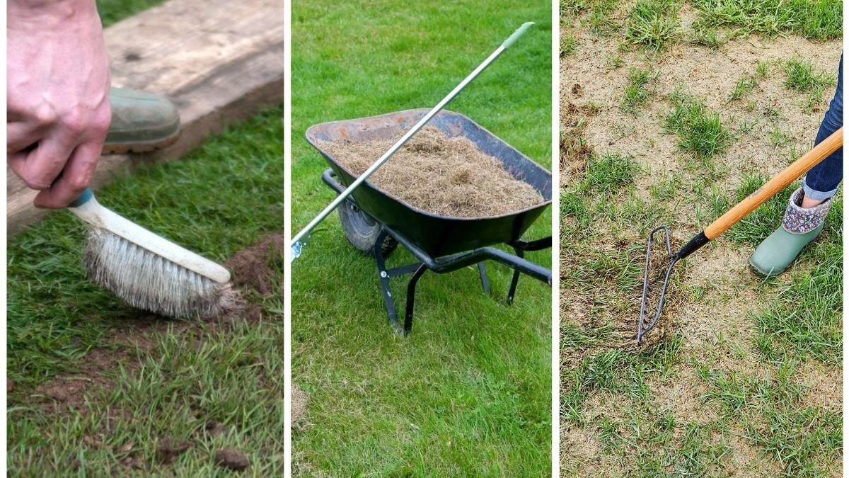 How To Repair Lawn Damage After a Hot Summer