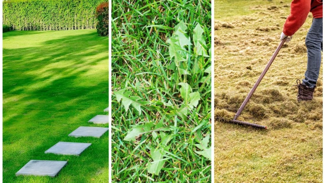 5 Tips for a Thicker Lawn Before Winter Dormancy