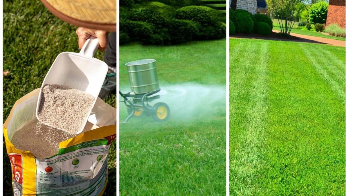 When To Apply Fall Fertilizer for Maximum Growth