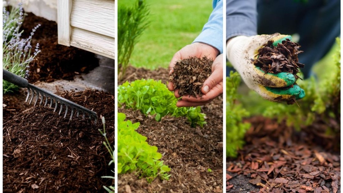 The Right Way to Use Mulch to Block Weeds