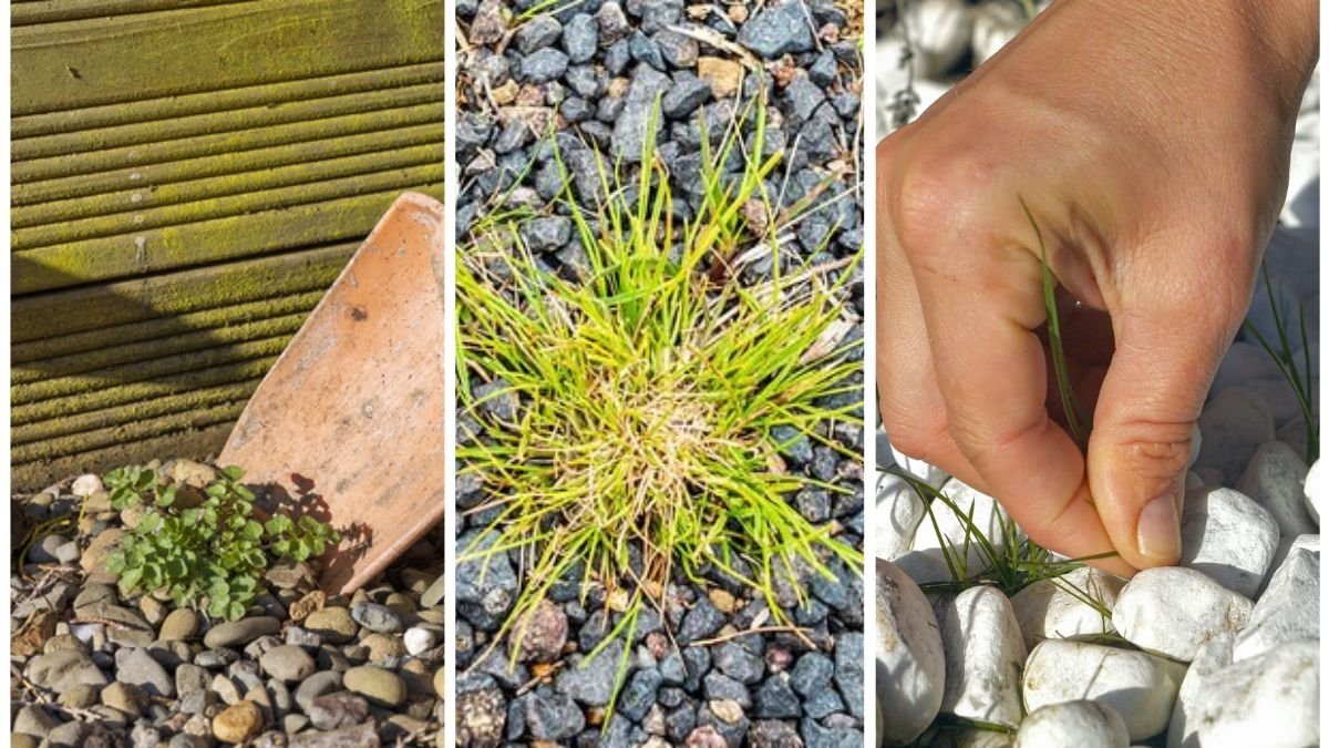 How To Prevent Weeds In Gravel Paths