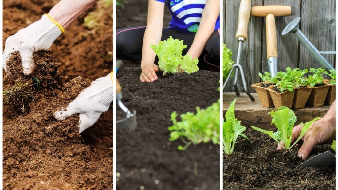 How To Rejuvenate Soil After A Long Summer