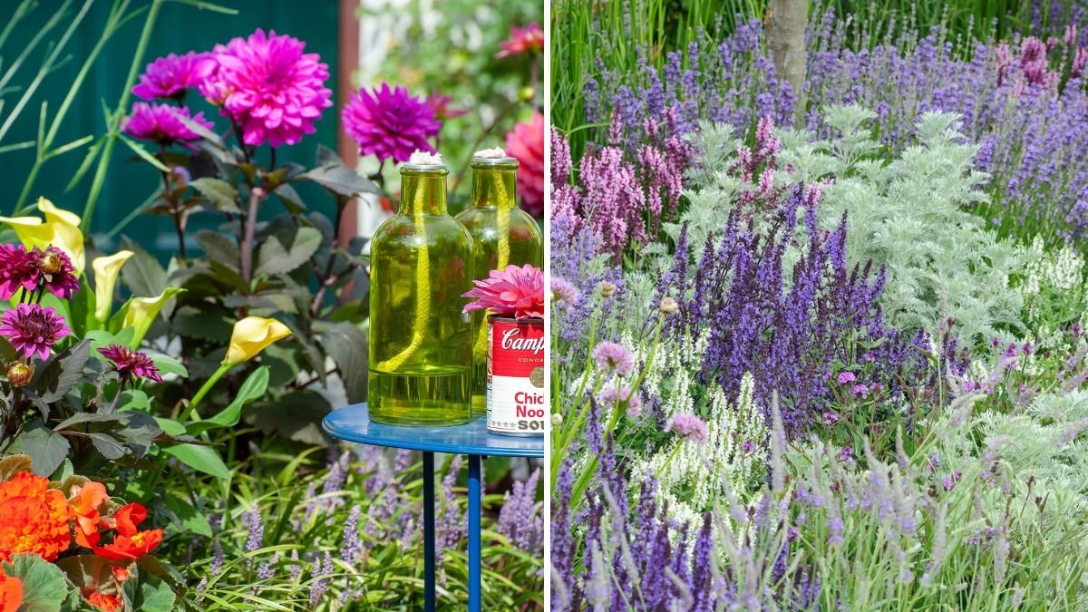 How To Plan Your Garden Color Scheme for October