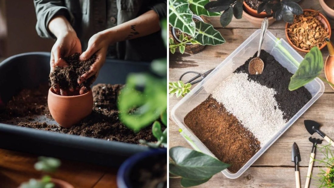 How to Create the Perfect Potting Mix for Houseplants