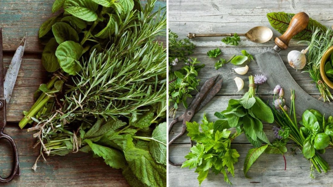 How to Store Herbs for Maximum Flavor