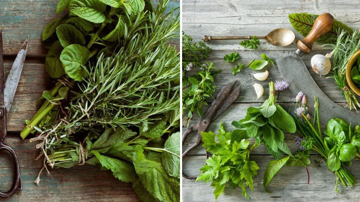 How to Store Herbs for Maximum Flavor