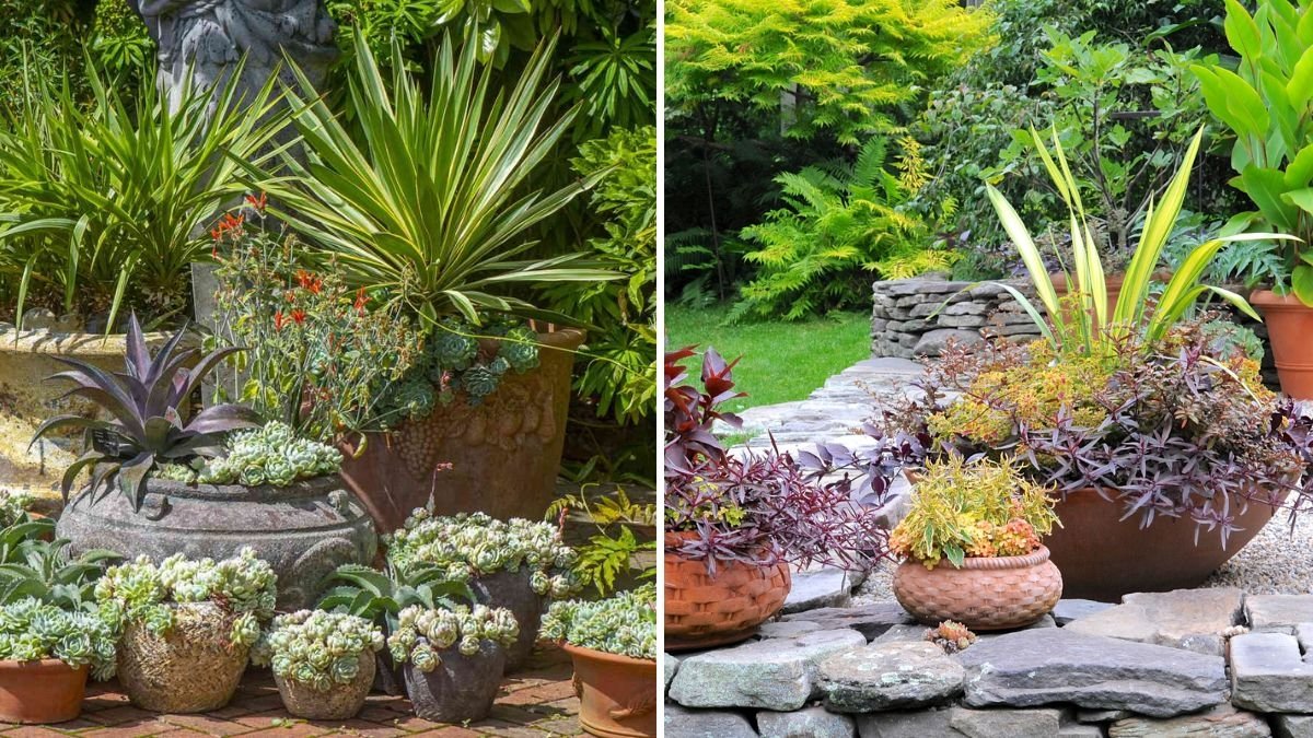 10 Stylish Planters to Elevate Your Indoor Garden