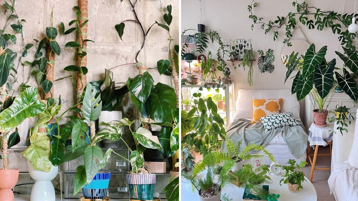 How to Blend Houseplants With Modern Décor Seamlessly
