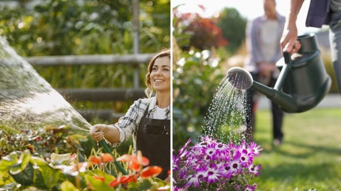 How to Adjust Watering Schedules With Seasonal Changes