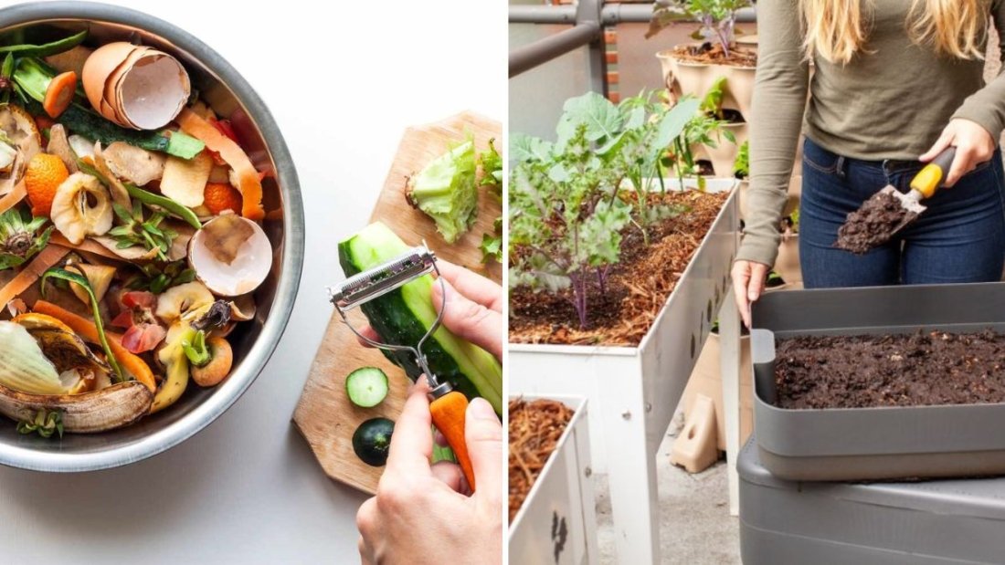 How to Fertilize Houseplants Naturally Using Kitchen Scraps