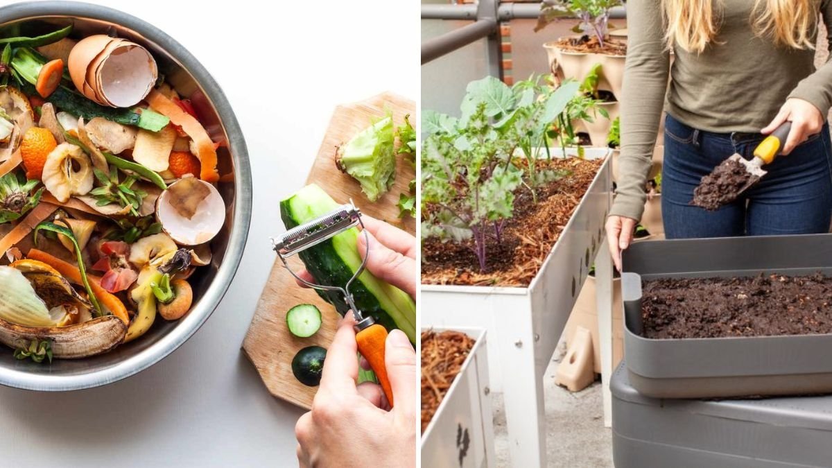 How to Fertilize Houseplants Naturally Using Kitchen Scraps