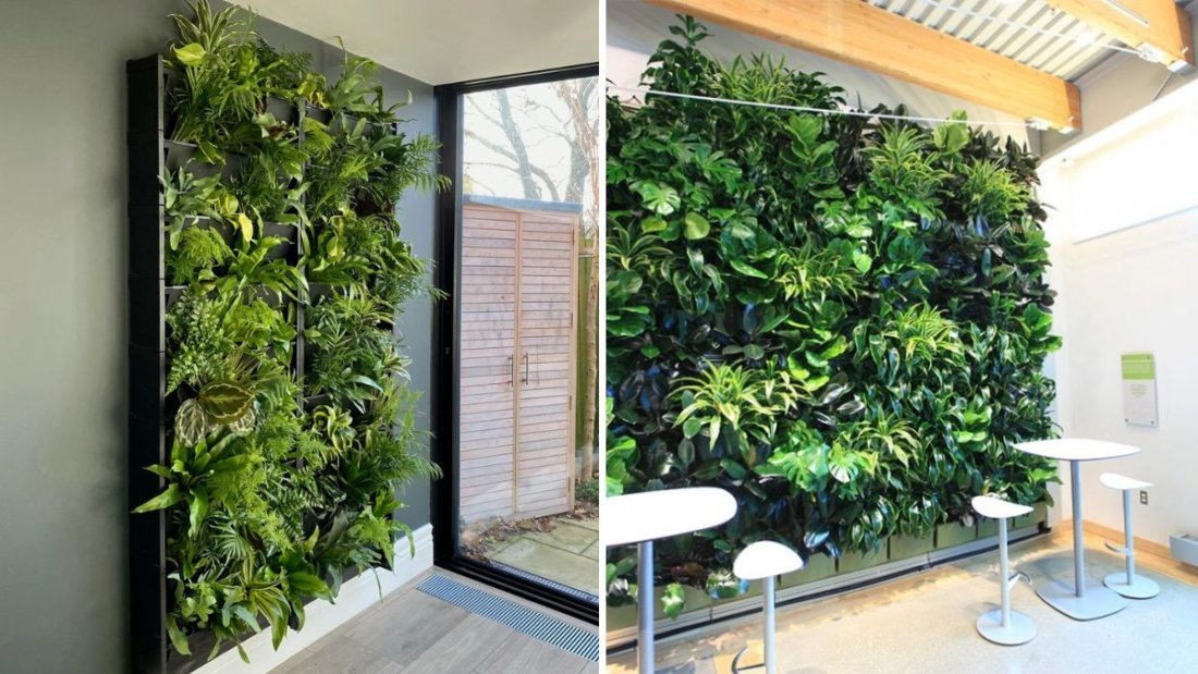 How to Create a Low-Maintenance Indoor Plant Wall