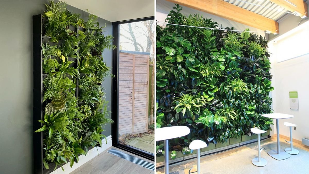 How to Create a Low-Maintenance Indoor Plant Wall
