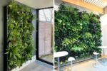 How to Create a Low-Maintenance Indoor Plant Wall