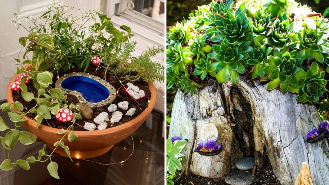 How to Create a Fairy Garden With Miniature Plants Indoors