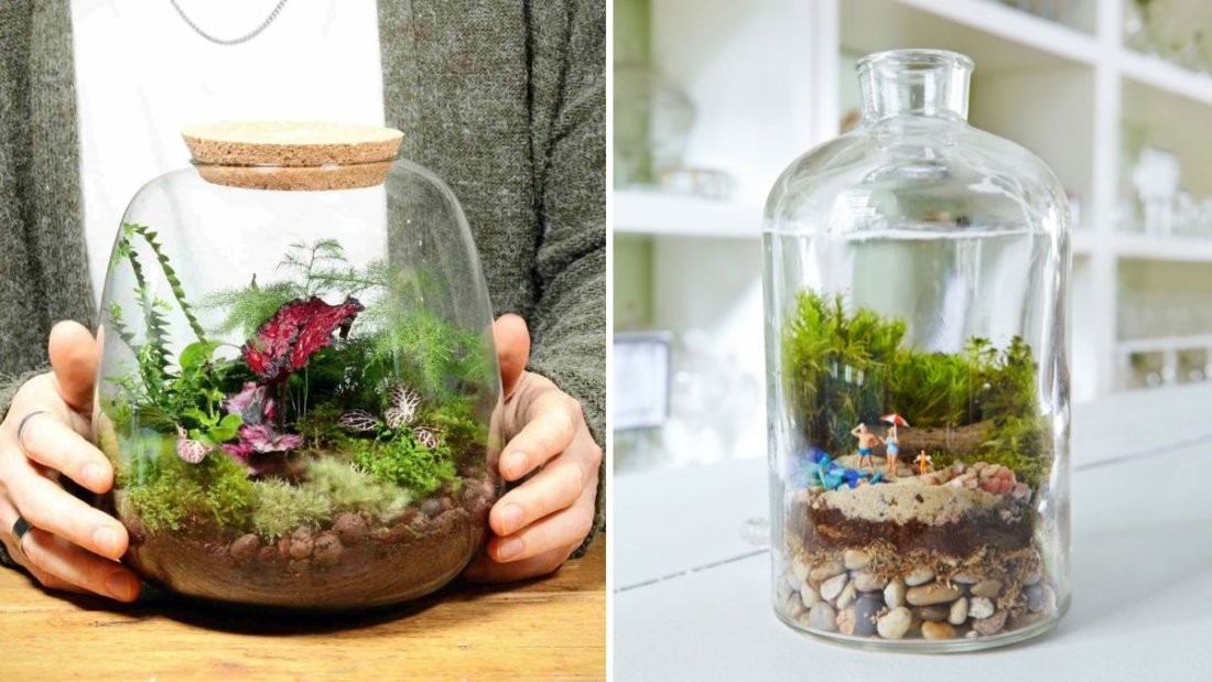 How to Make a Terrarium That Lasts for Years