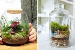 How to Make a Terrarium That Lasts for Years