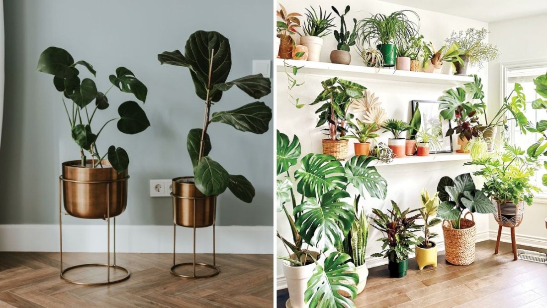 The Most Common Light Mistakes Indoor Gardeners Make