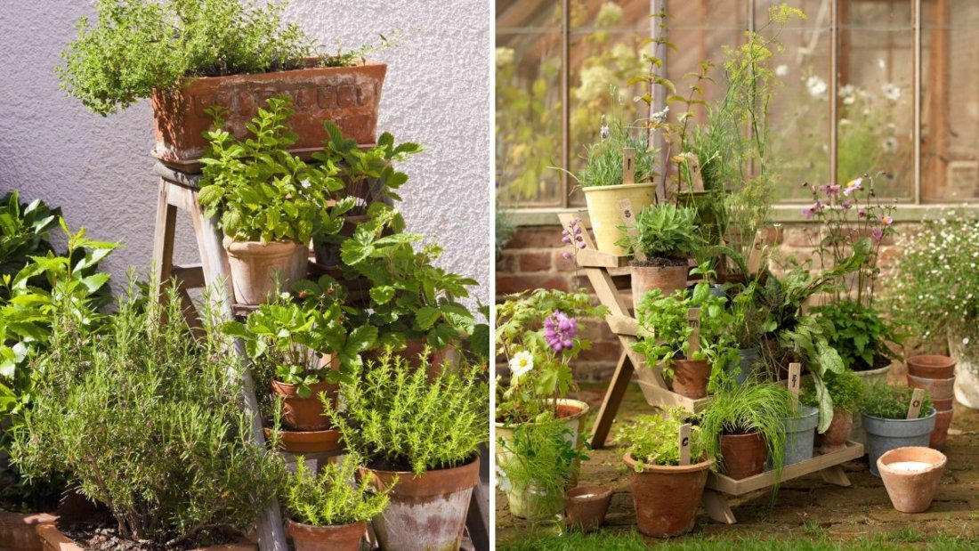 How to Grow a Thriving Indoor Herb Garden Without Sunlight