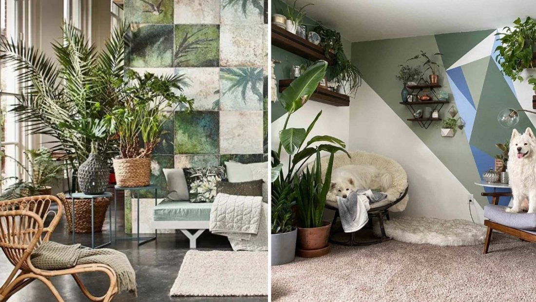 How to Create a Mini Jungle in Your Living Room