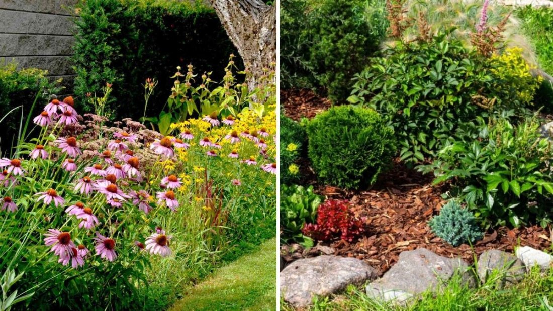 How to Encourage Indoor Plants to Produce More Leaves