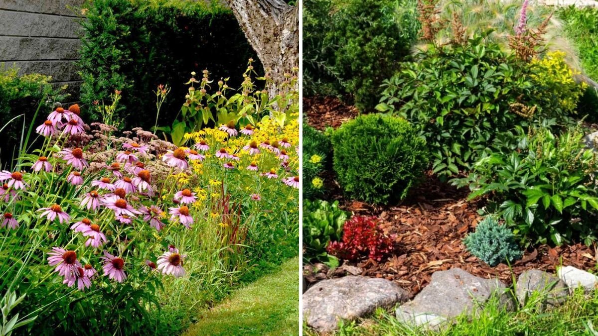 How to Encourage Indoor Plants to Produce More Leaves