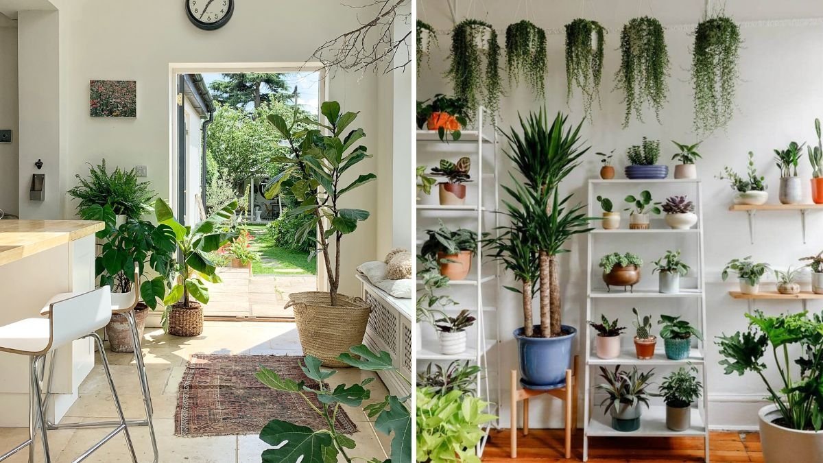 How to Mix Different Leaf Textures for Stunning Indoor Displays