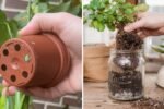 Why Drainage Holes Matter for Indoor Plants