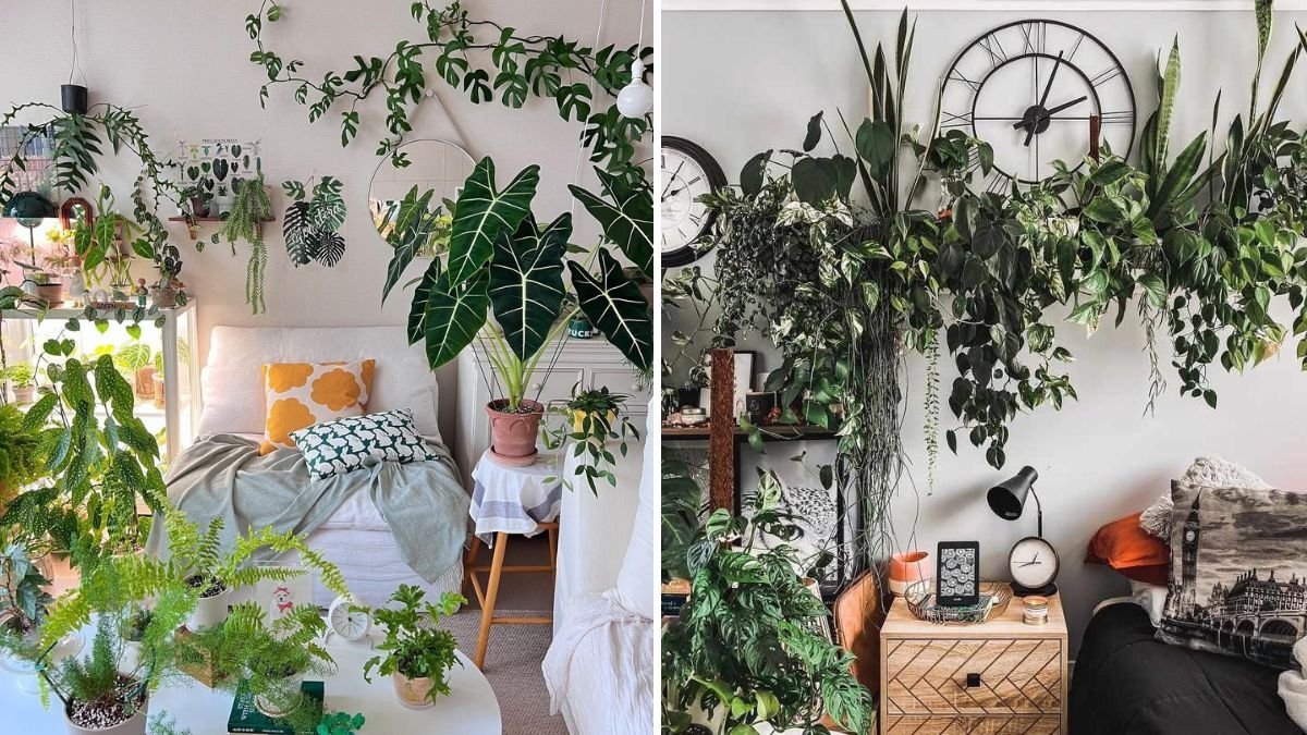 How to Match Indoor Plants With Your Home’s Color Palette