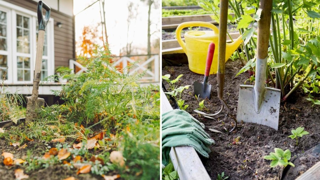 9 Fall Garden Tasks You Should Never Skip, According to Experts