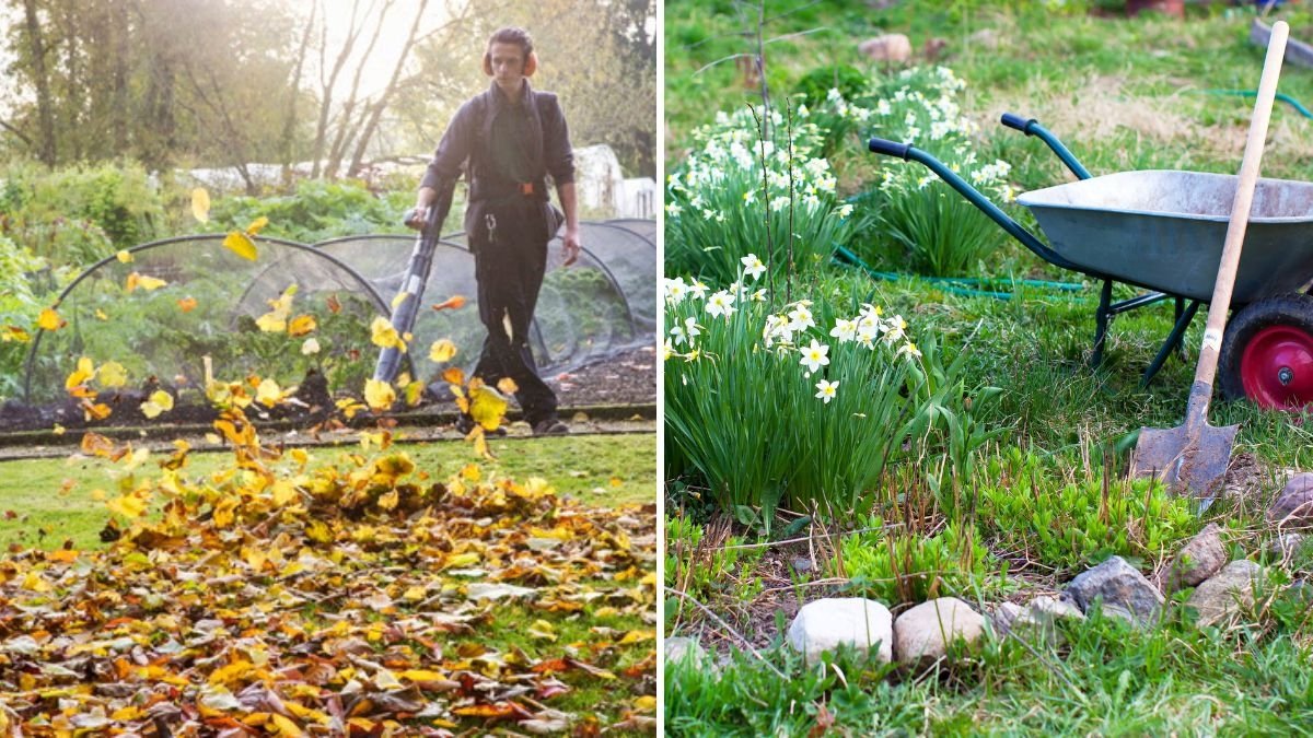 7 Signs Your Garden Needs a Fall Cleanup (and How to Do It Right)