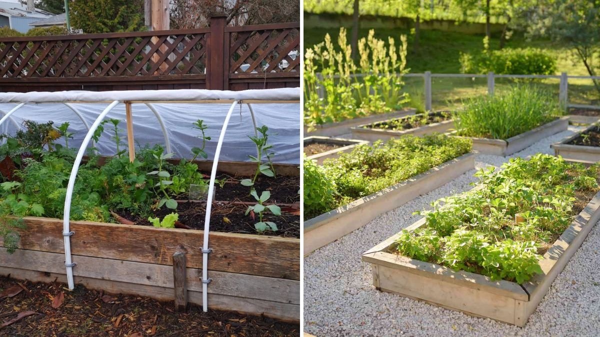 How to Prepare Garden Beds for Winter for a Strong Spring Start