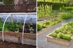 How to Prepare Garden Beds for Winter for a Strong Spring Start