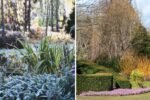 5 Shrubs That Stay Gorgeous Through Fall and Winter