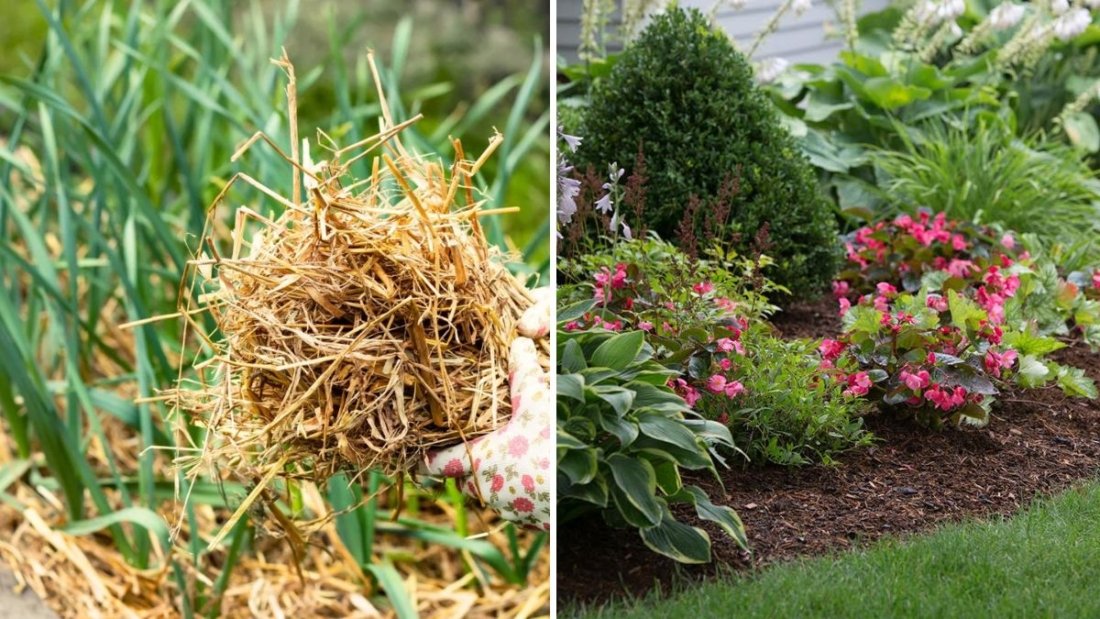 5 Mistakes to Avoid When Mulching in Fall