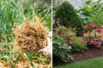 5 Mistakes to Avoid When Mulching in Fall