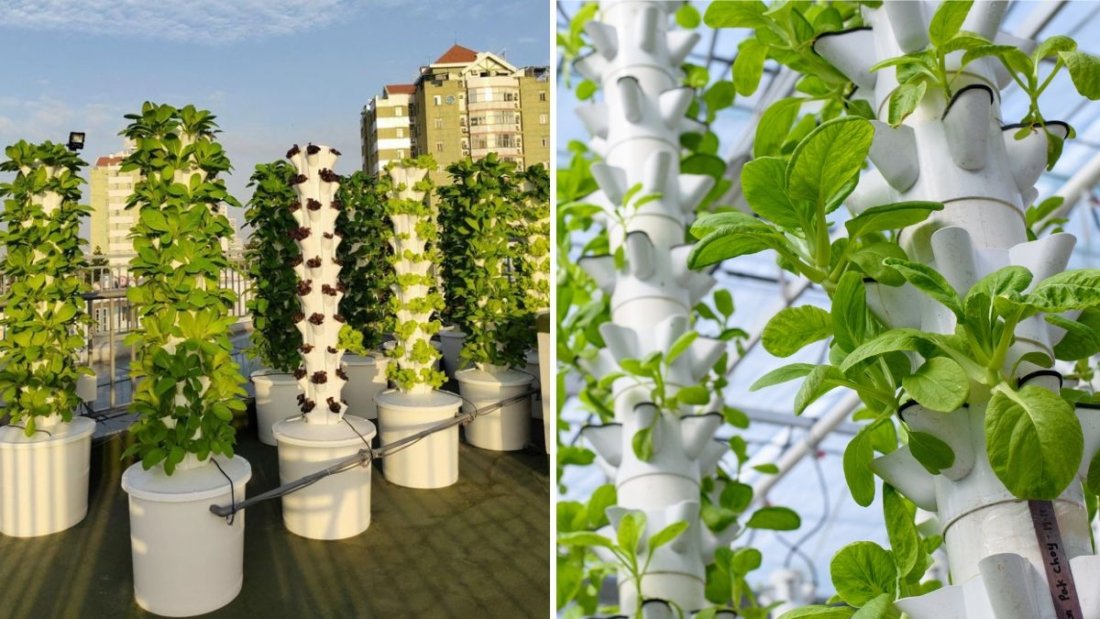 How to Build an Easy Vertical Hydroponics System Without Using Pots